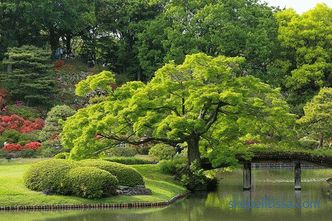 Japon bahçesi - stil yaratma ilkeleri ve kuralları