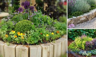 güzel bir bahçe oluşturmak için fotoğraflar ve temel öneriler