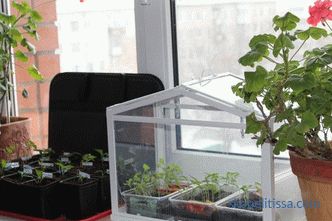 Ev mini polikarbon sera, bahçe, fotoğraf ve video için mini sera