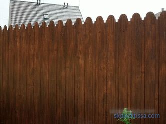 Metal çitler ve çitler: çeşitlilik, maliyet, seçim, kurulum