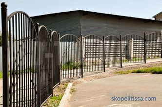 Metal çitler ve çitler: çeşitlilik, maliyet, seçim, kurulum