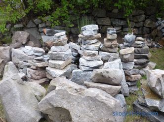 Alpine kayması için taşlar: doğru seçimin temel prensipleri
