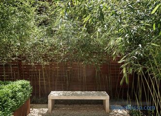 Minimalizm tarzında bahçe, minimalist bir manzara yaratmanın ilkeleri ve fikirleri, foto şık çözümler